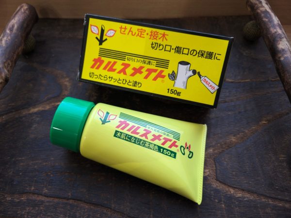 富士切口膏：圖片 2