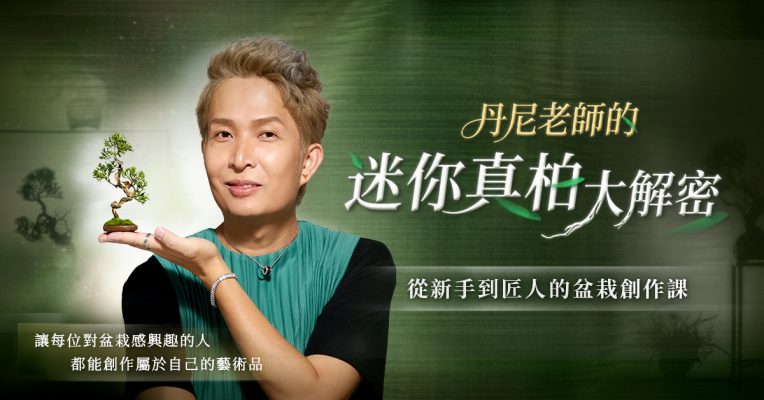 丹尼老師的迷你真柏大解密