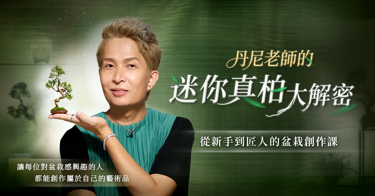 丹尼老師的迷你真柏大解密